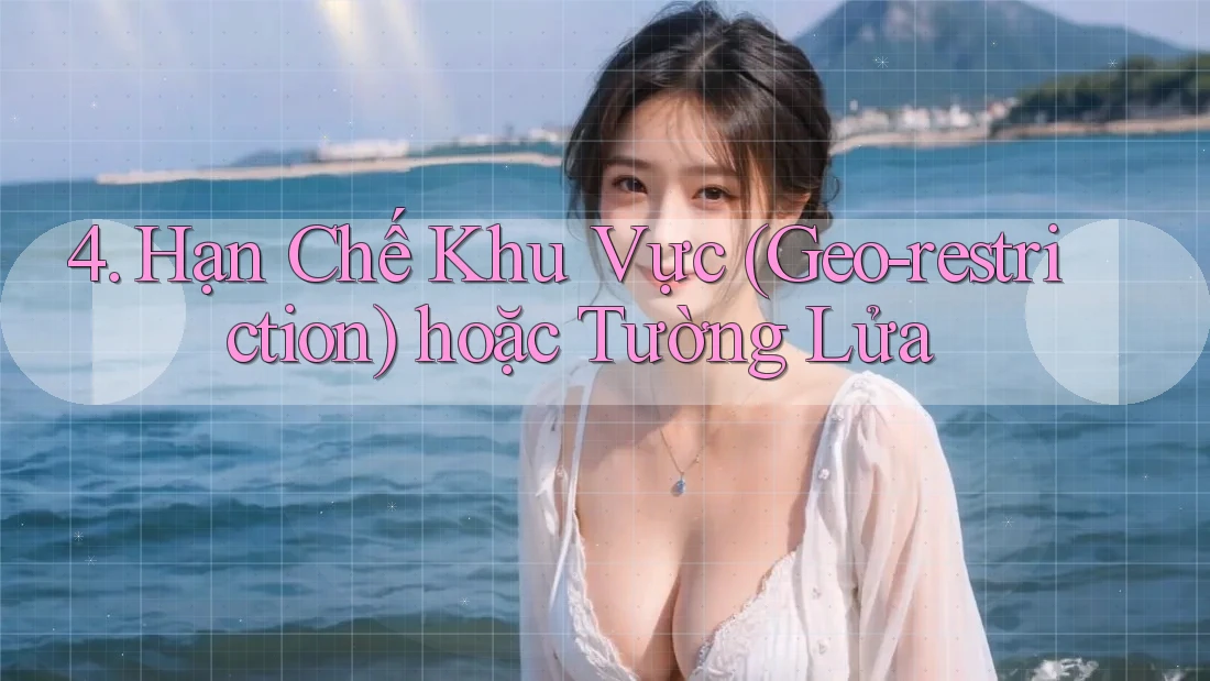4. Hạn Chế Khu Vực (Geo-restriction) hoặc Tường Lửa