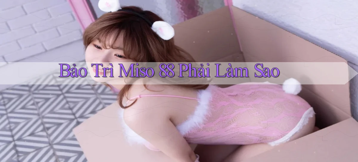 miso 88   App Chính Hãng Cho Truy Cập Cả Ngày