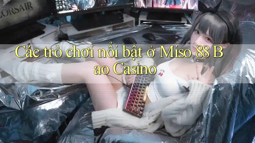 Các trò chơi nổi bật ở Miso 88 Bao Casino Các trò chơi nổi bật ở Miso 88 Bao Casino