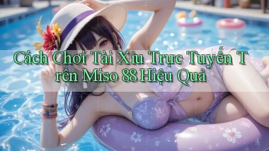cách chơi tài xỉu trực tuyến trên miso 88 hiệu quả