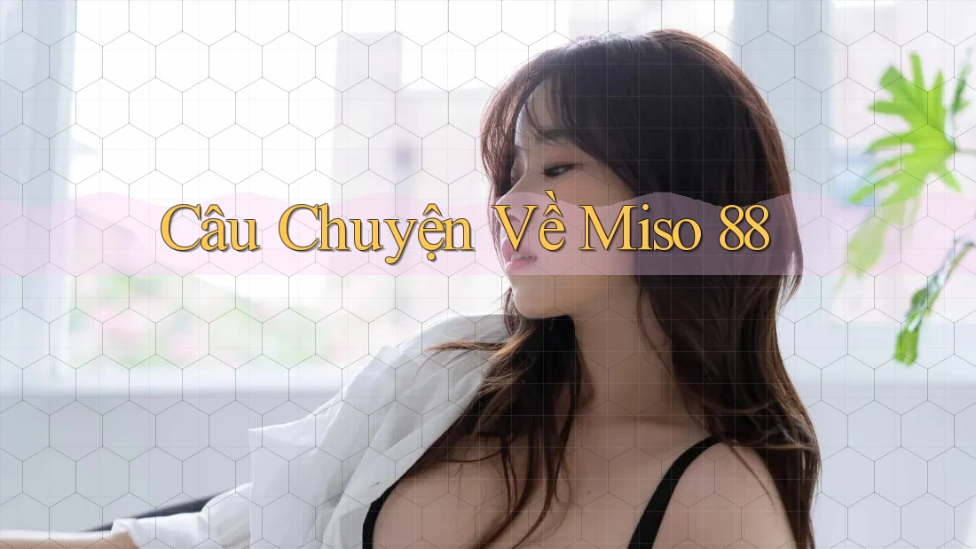 Câu Chuyện Về Miso 88 Câu Chuyện Về Miso 88