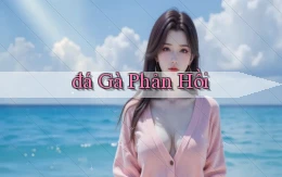 đá gà Phản hồi