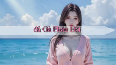 đá gà Phản hồi