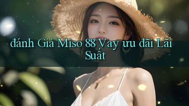 đánh giá miso 88 vay ưu đãi lãi suất