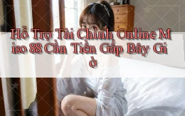 hỗ trợ tài chính online miso 88 cần tiền gấp bây giờ