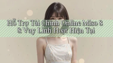 hỗ trợ tài chính online miso 88 vay linh hoạt hiện tại