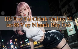 hỗ trợ tài chính online miso 88 vay nhanh bây giờ