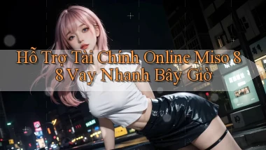 hỗ trợ tài chính online miso 88 vay nhanh bây giờ