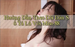 hướng dẫn theo dõi dàn số tá lả với miso 88