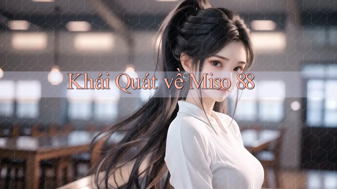 Khái Quát về Miso 88 Khái Quát về Miso 88