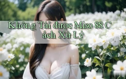 không tải được miso 88 cách xử lý