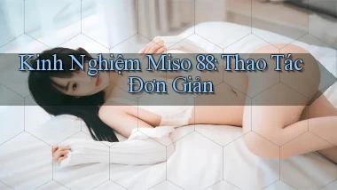 kinh nghiệm miso 88 thao tác đơn giản