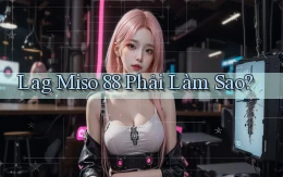 lag miso 88 phải làm sao