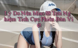 lý do nên miso 88 trải nghiệm tích cực phiên bản việt