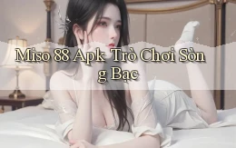 miso 88 apk trò chơi sòng bạc