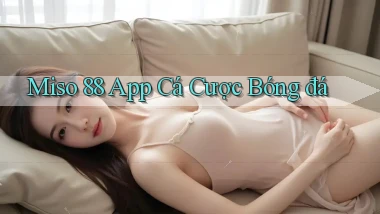 miso 88 app cá cược bóng đá