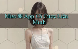 miso 88 app cá cược liên minh