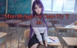 miso 88 app cá cược uy tín