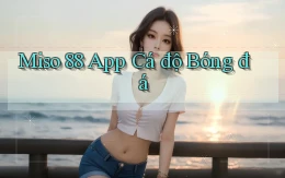 miso 88 app cá độ bóng đá