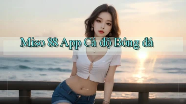 miso 88 app cá độ bóng đá
