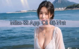 miso 88 app cá độ net