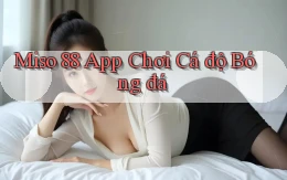 miso 88 app chơi cá độ bóng đá