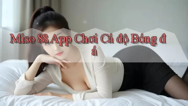 miso 88 app chơi cá độ bóng đá