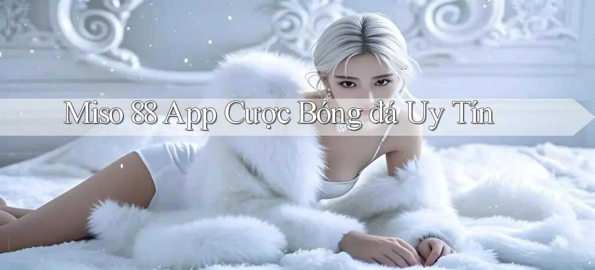 miso 88 app cược bóng đá uy tín