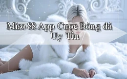 miso 88 app cược bóng đá uy tín