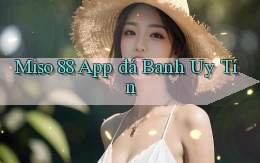 miso 88 app đá banh uy tín