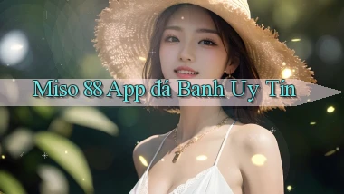 miso 88 app đá banh uy tín