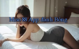 miso 88 app đánh bóng