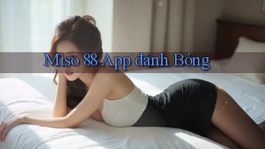 miso 88 app đánh bóng