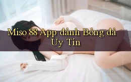 miso 88 app đánh bóng đá uy tín