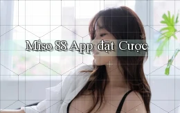 miso 88 app đặt cược