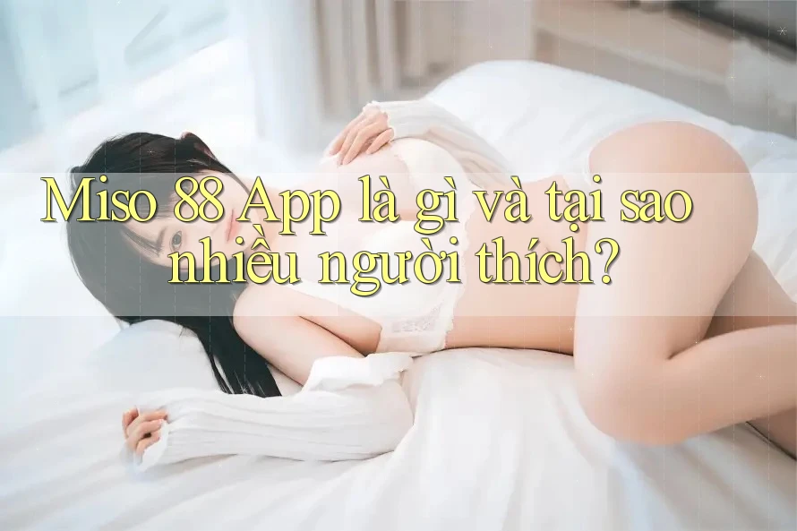 Miso 88 App là gì và tại sao nhiều người thích? Miso 88 App là gì và tại sao nhiều người thích?