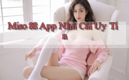 miso 88 app nhà cái uy tín