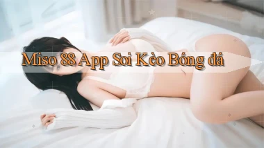 miso 88 app soi kèo bóng đá