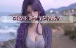 miso 88 asia mới ra