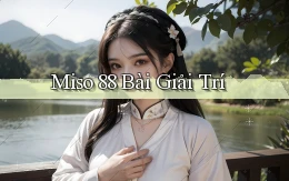 miso 88 bài giải trí