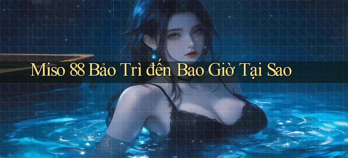 miso 88 bảo trì đến bao giờ tại sao