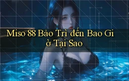 miso 88 bảo trì đến bao giờ tại sao