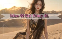 miso 88 bet bóng đá