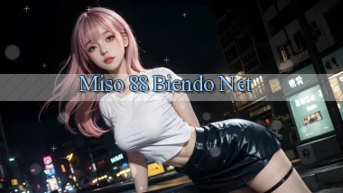 miso 88 biendo net