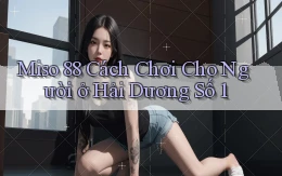 miso 88 cách chơi cho người ở Hải Dương số 1