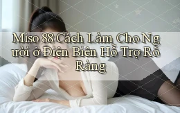 miso 88 cách làm cho người ở Điện Biên hỗ trợ rõ ràng