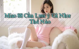 miso 88 cần lưu ý gì như thế nào