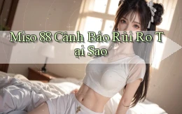 miso 88 cảnh báo rủi ro tại sao