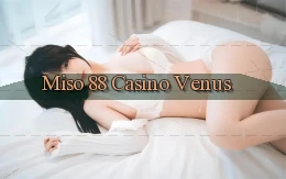 miso 88 casino venus