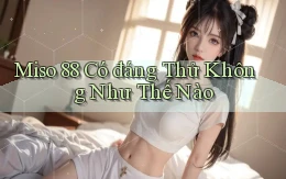 miso 88 có đáng thử không như thế nào